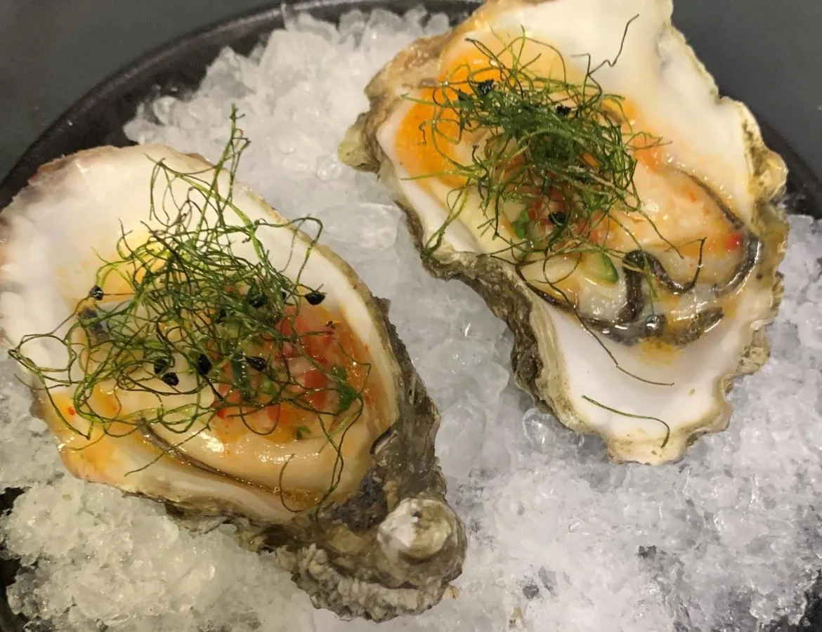 two oysters on ice with seaweed on them at No11 Boutique Hotel & Brasserie in Edinburgh